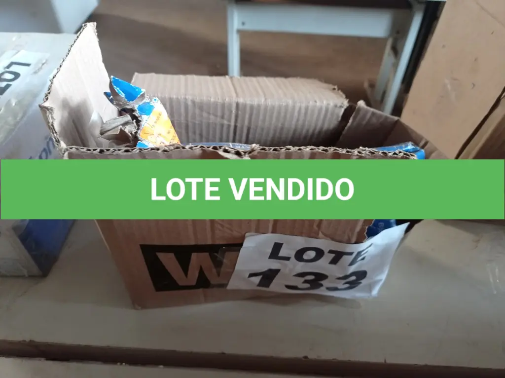 LOTE 133