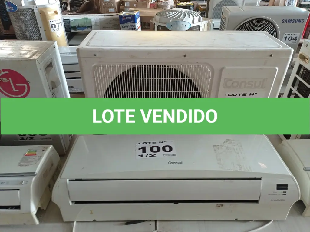 LOTE 100