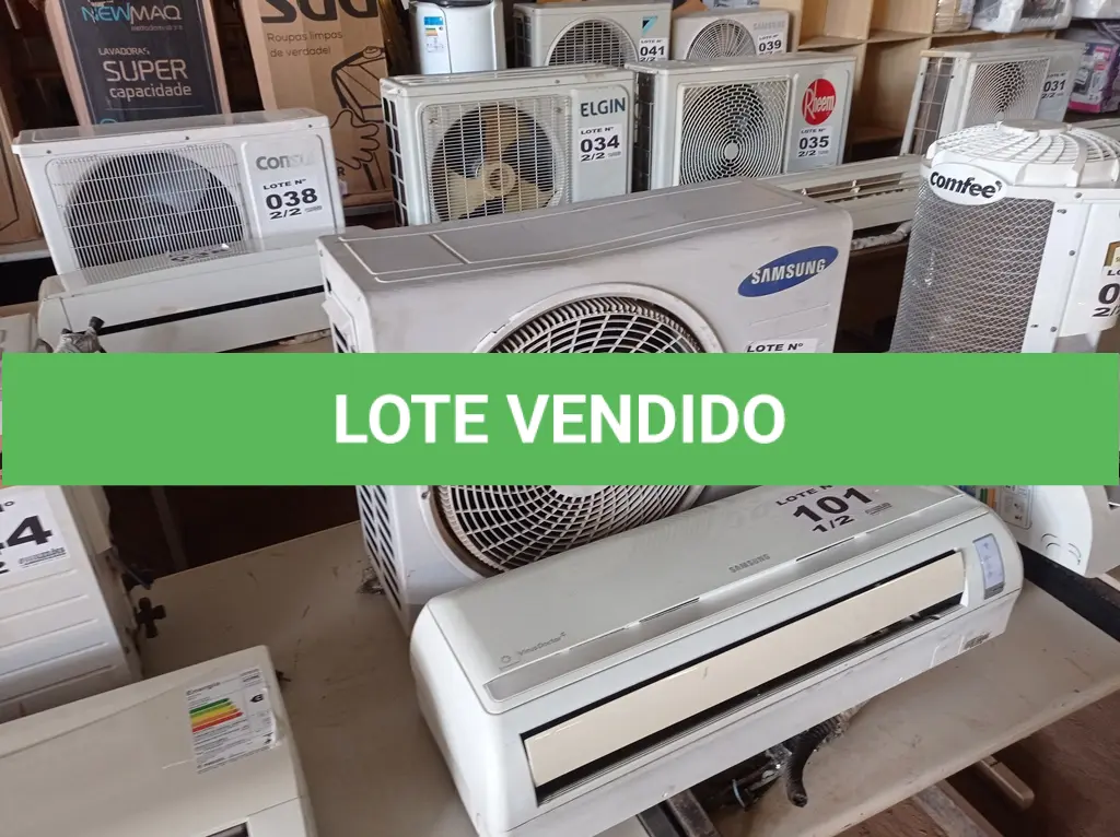 LOTE 101