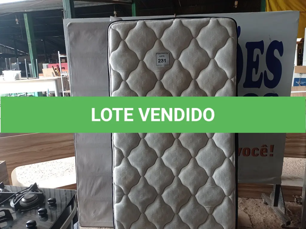 LOTE 231
