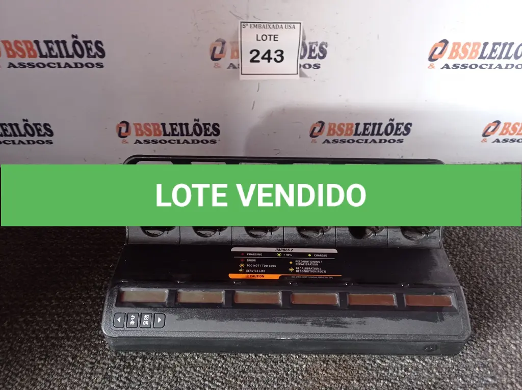 LOTE 243
