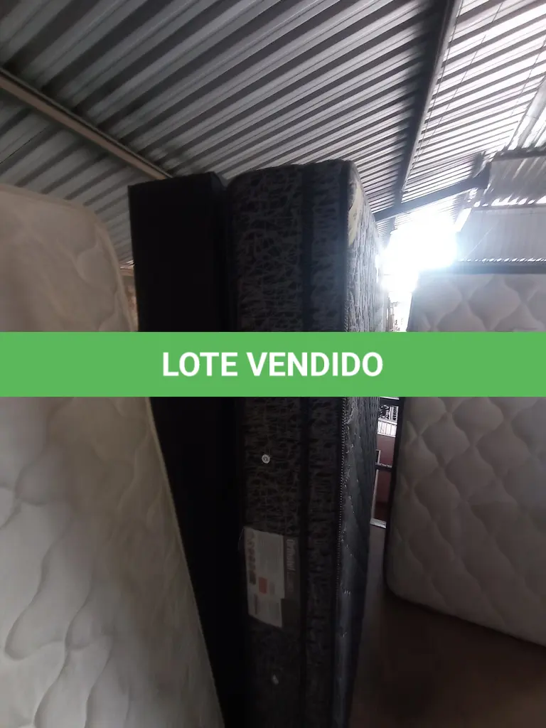 LOTE 290