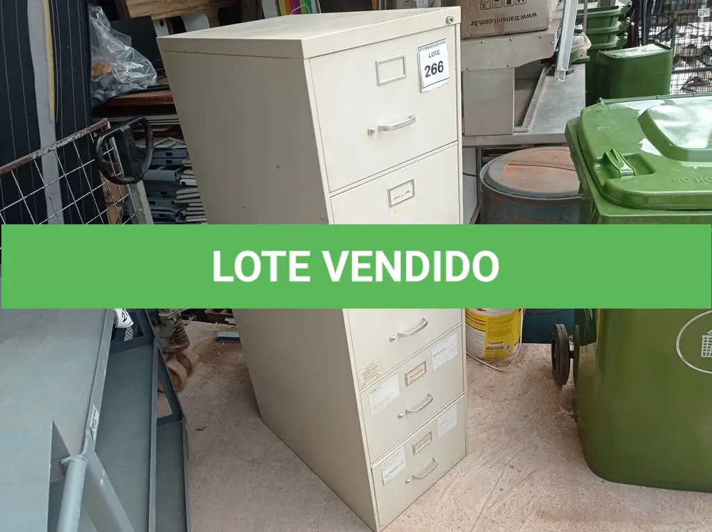LOTE 266