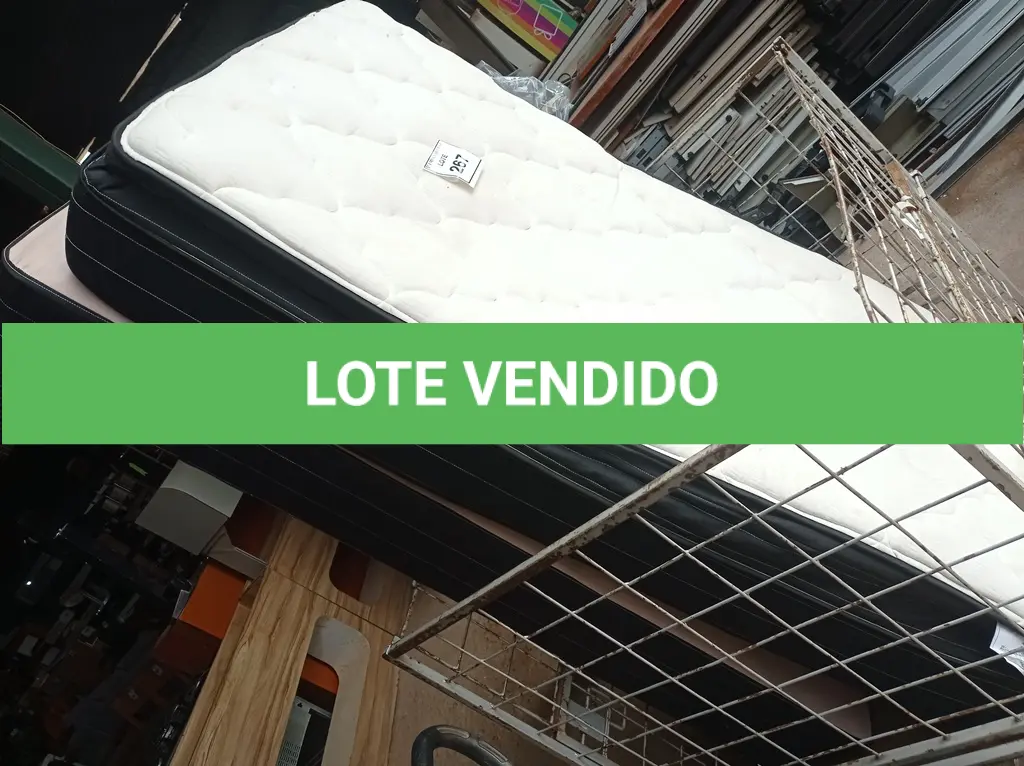 LOTE 267
