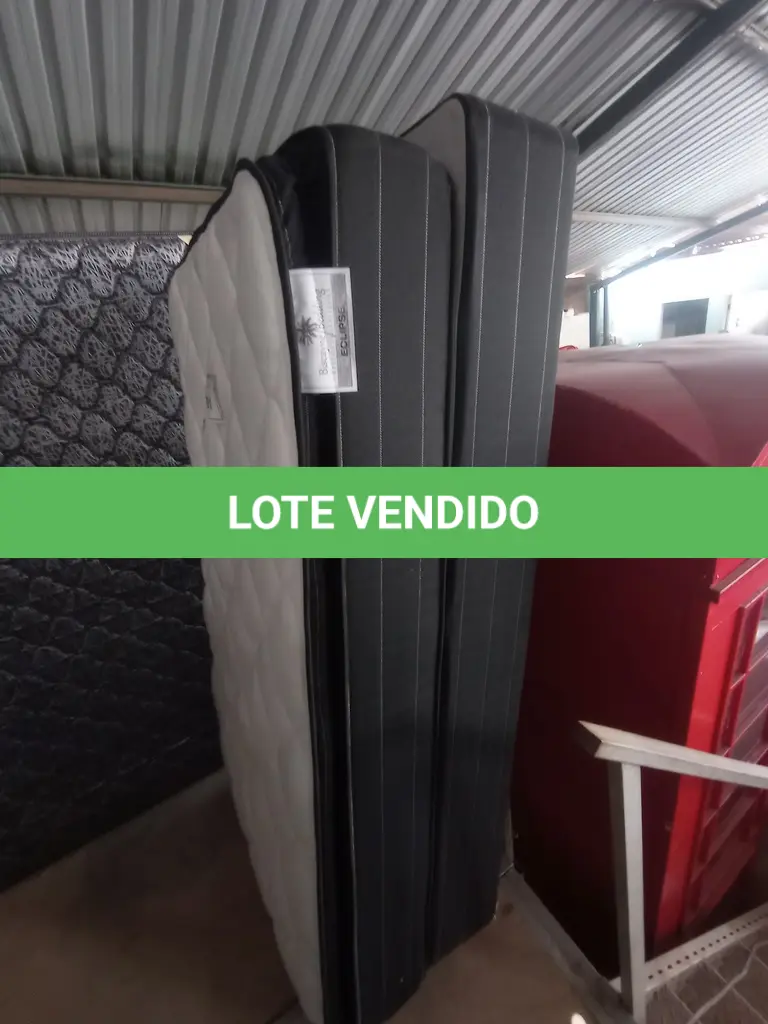 LOTE 291