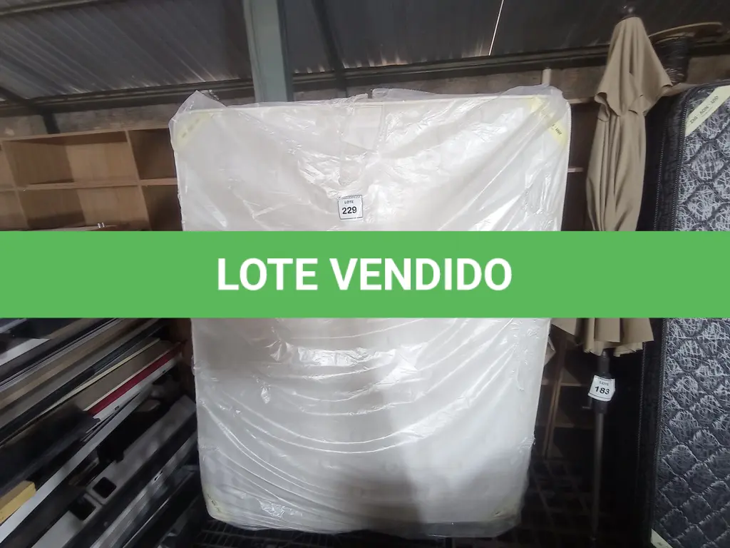 LOTE 229