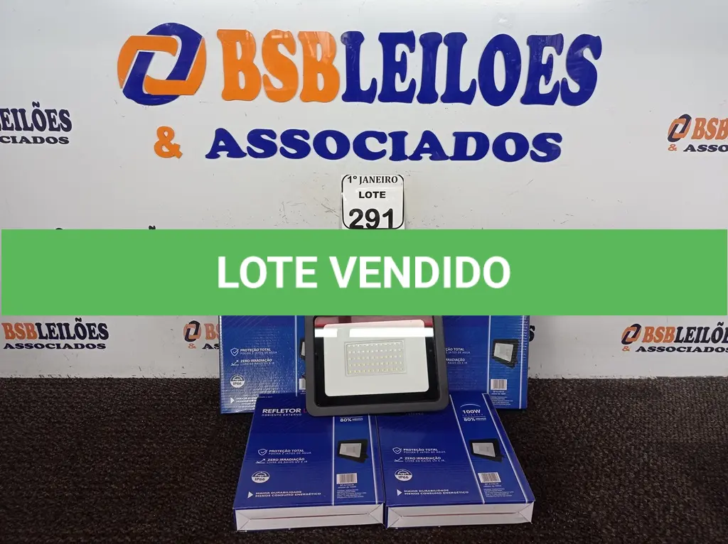 LOTE 291