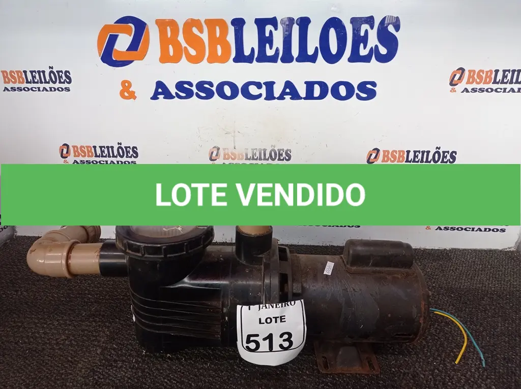 LOTE 513
