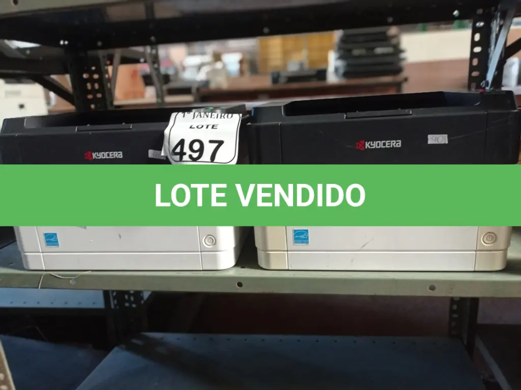 LOTE 497