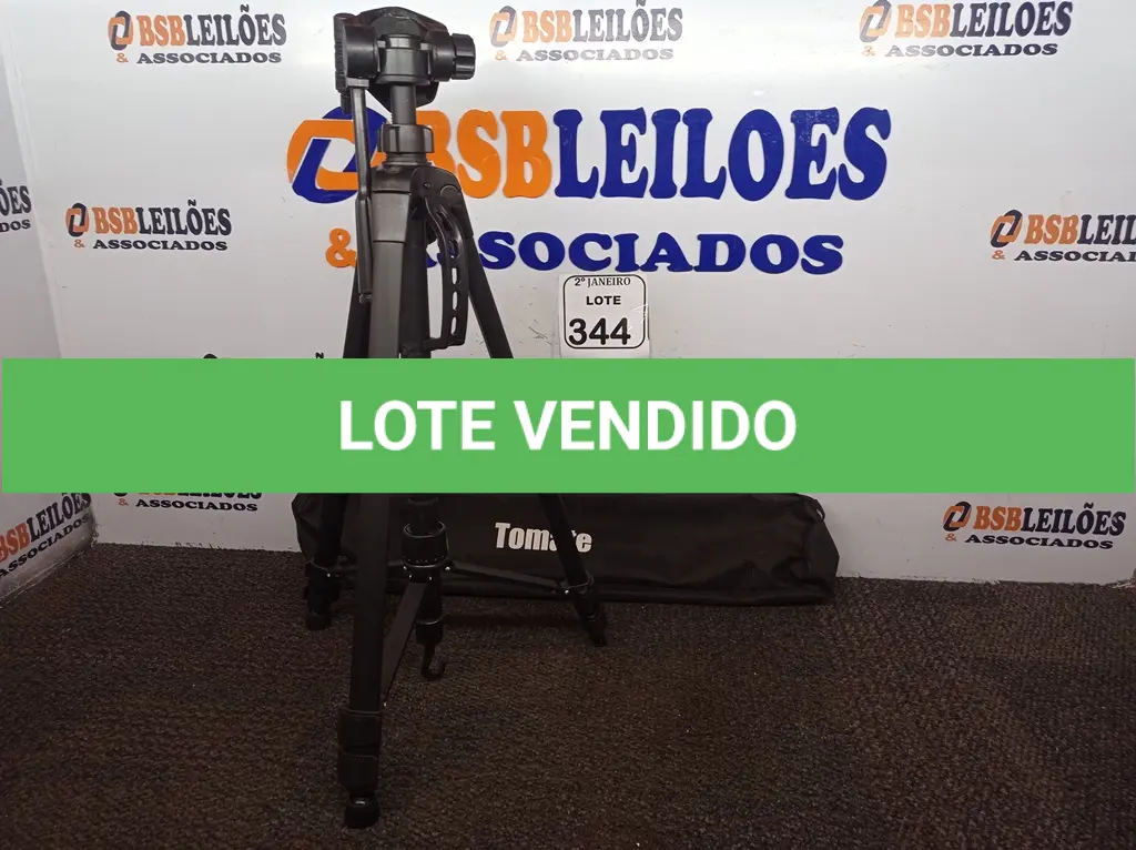 LOTE 344