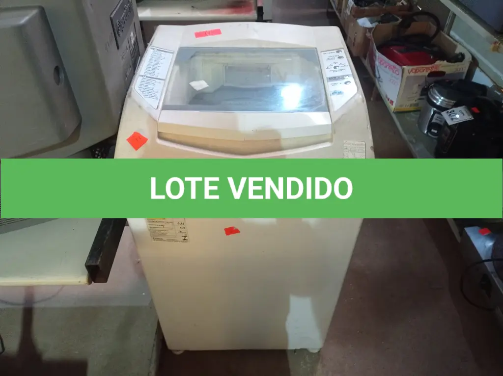 LOTE 309