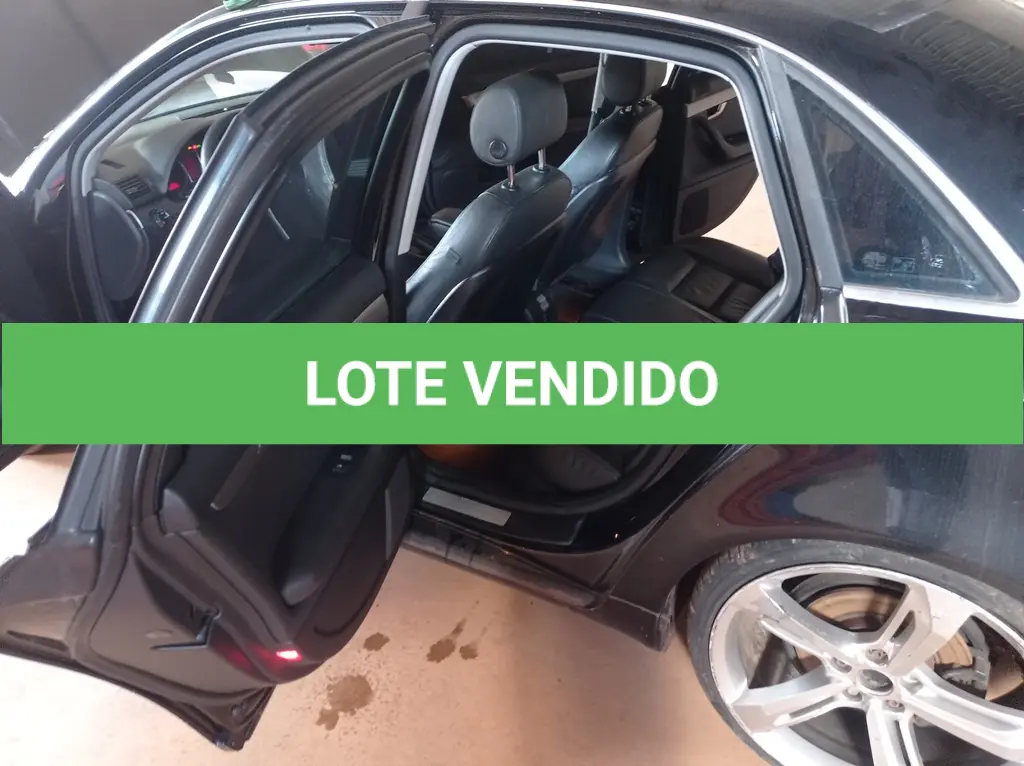LOTE 310