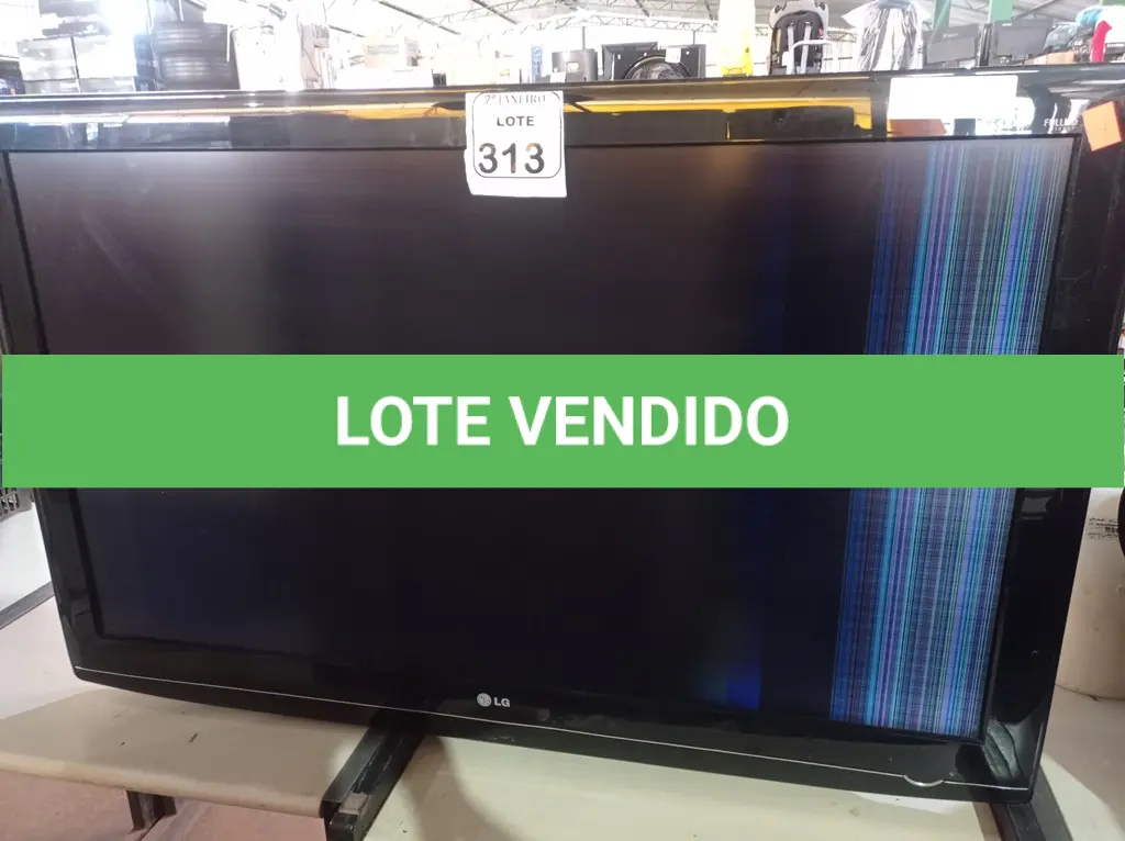 LOTE 313