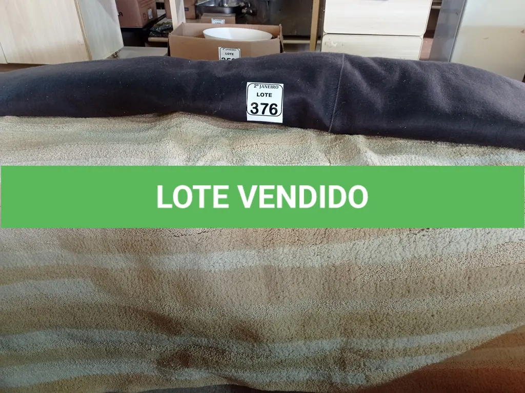 LOTE 376