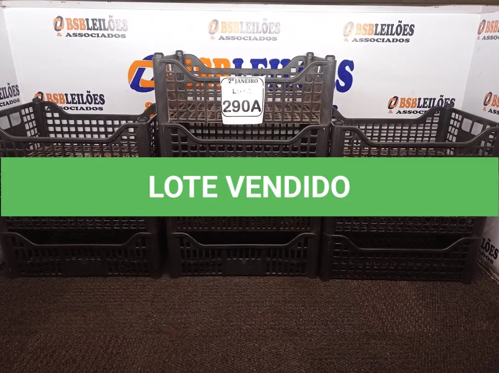 LOTE 290