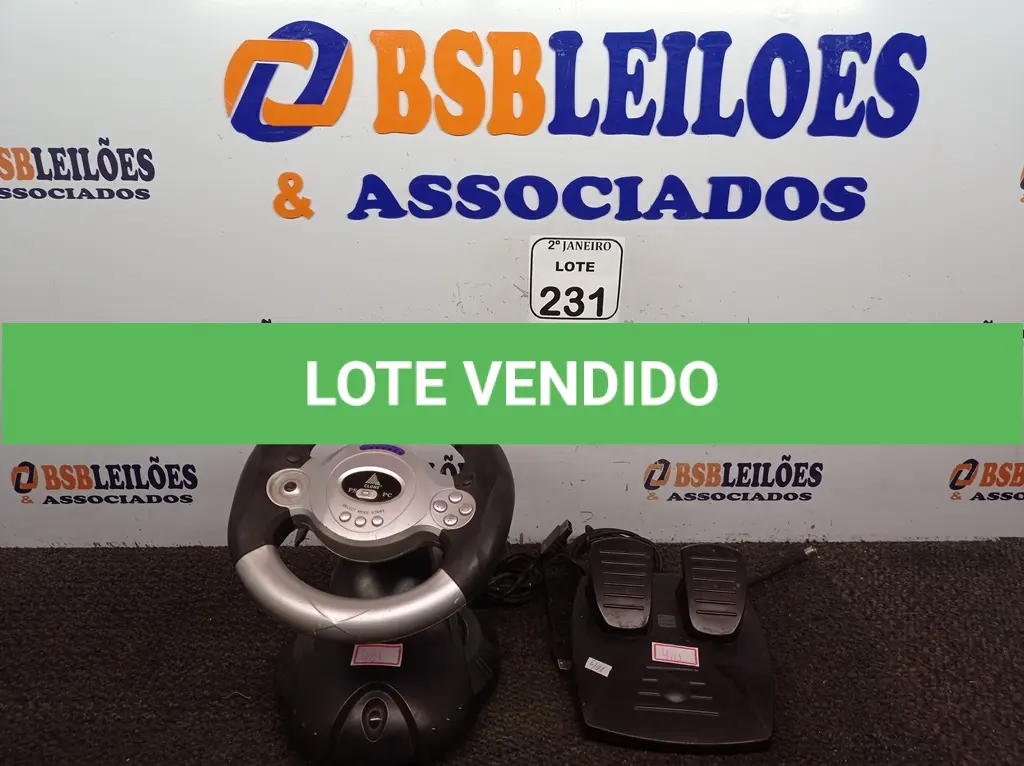 LOTE 231