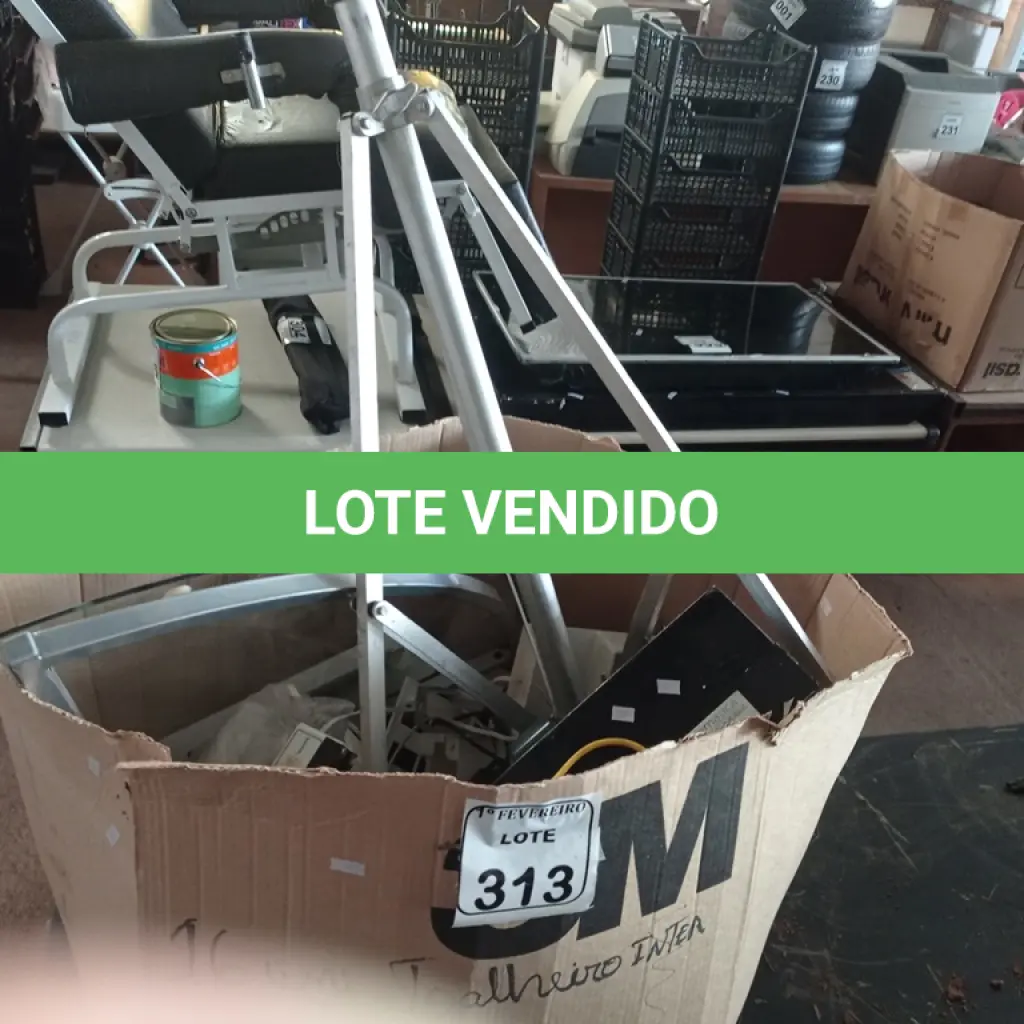 LOTE 313