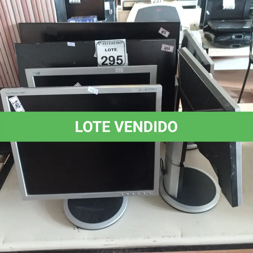 LOTE 295