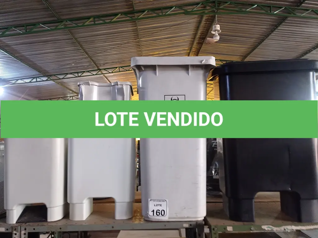 LOTE 160