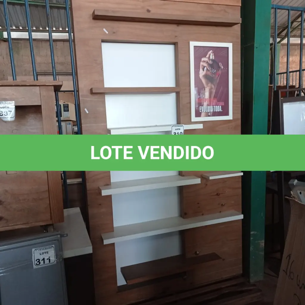 LOTE 310