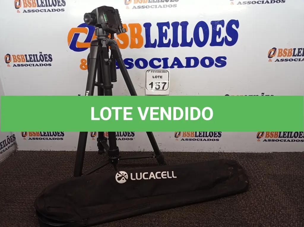 LOTE 157