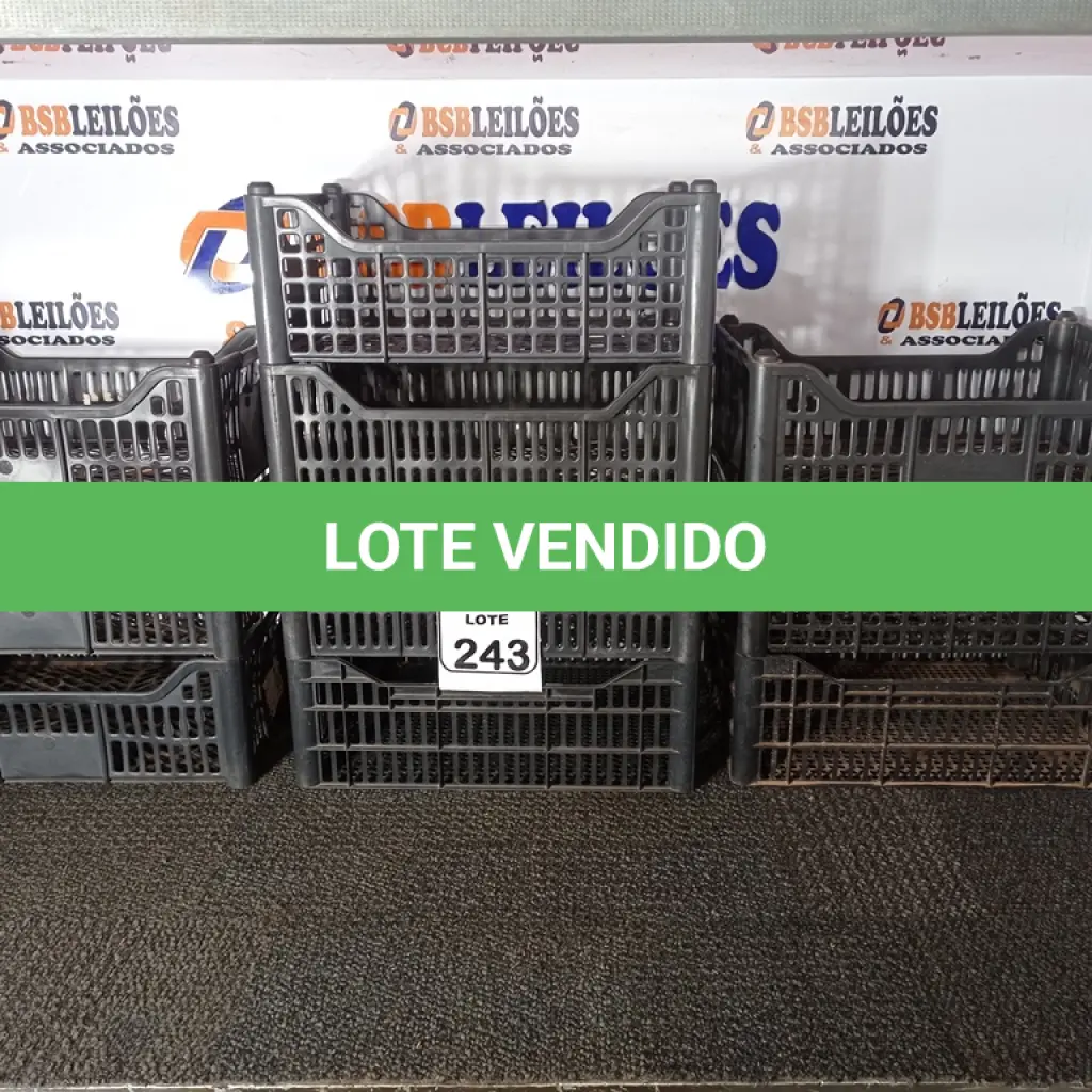 LOTE 243