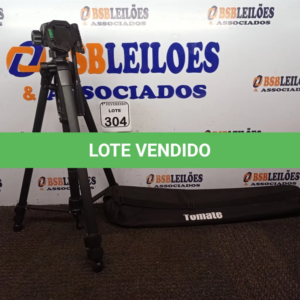 LOTE 304