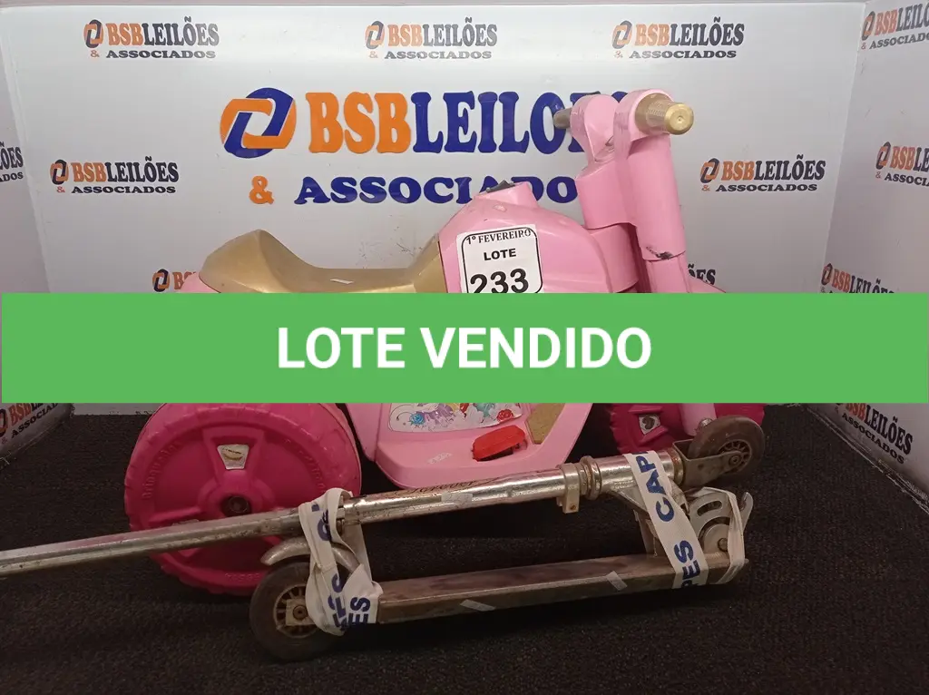 LOTE 233