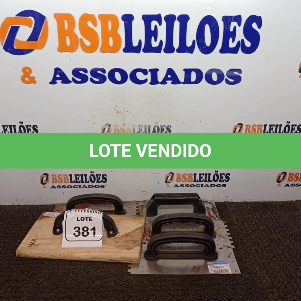 LOTE 381