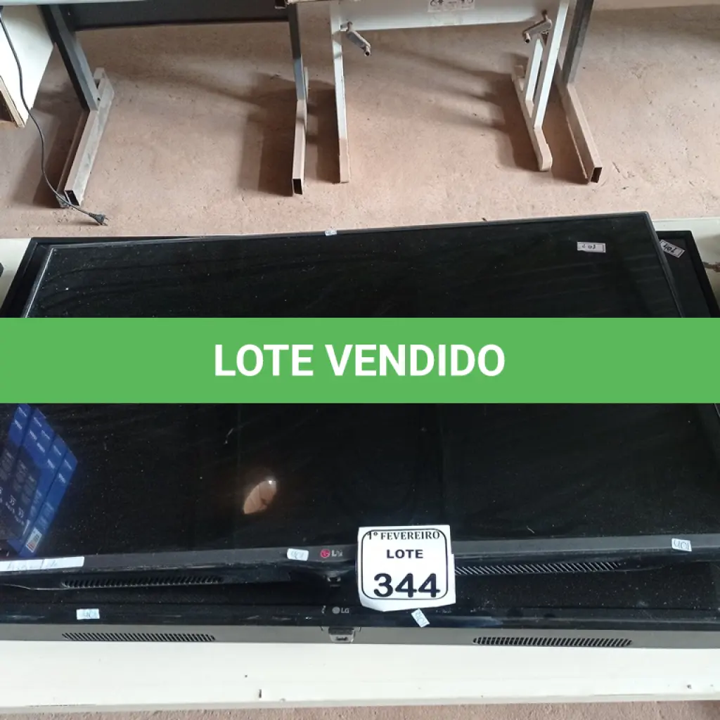 LOTE 344