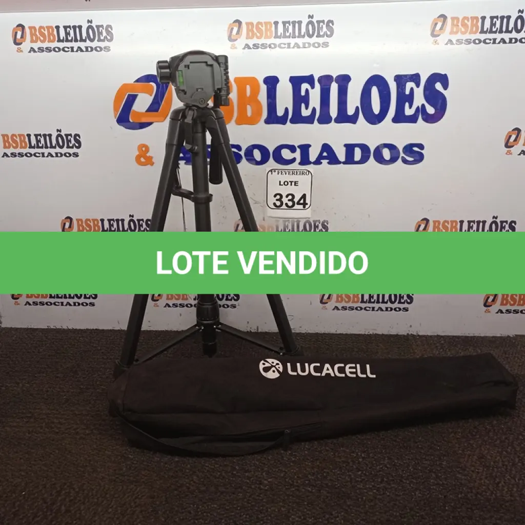 LOTE 334