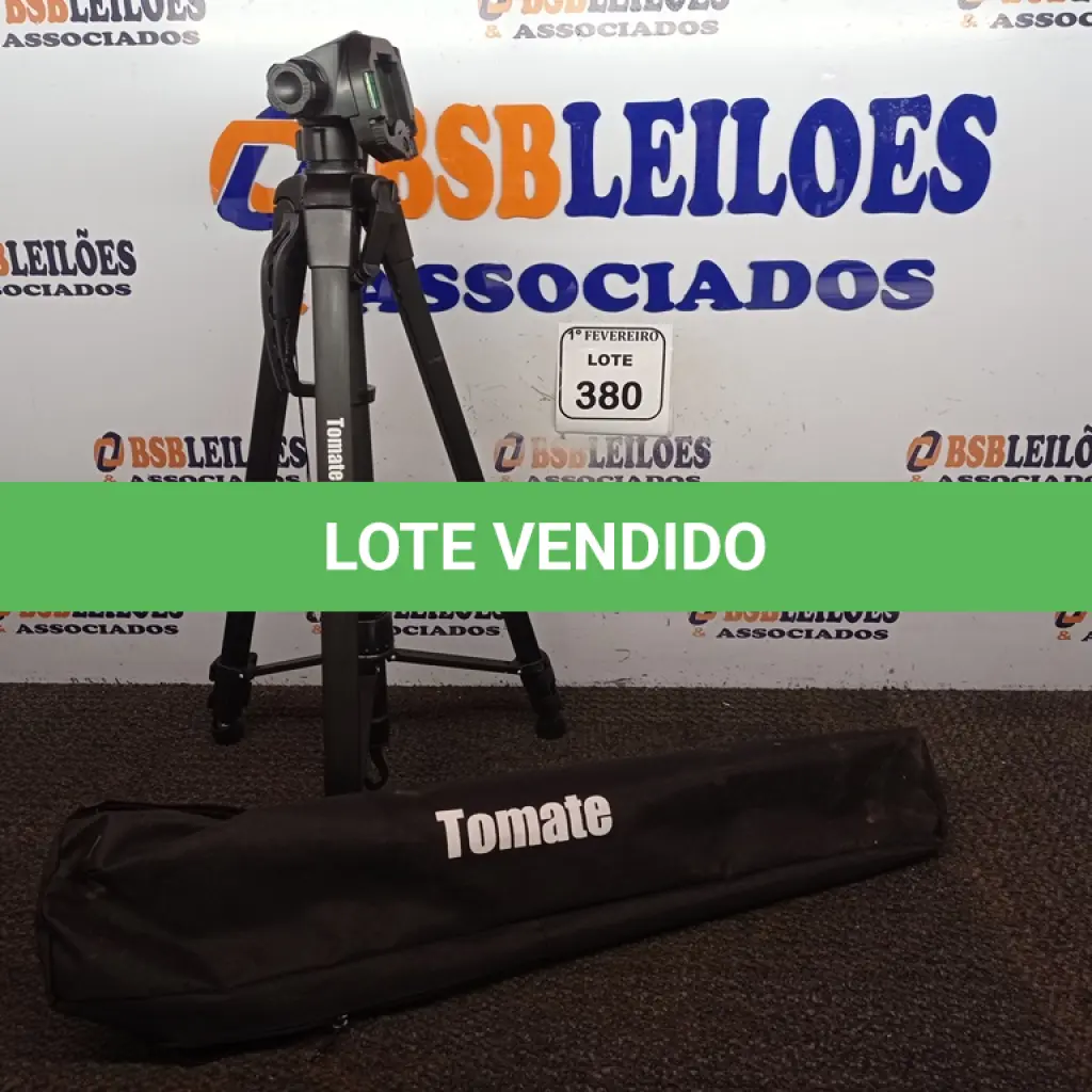 LOTE 380