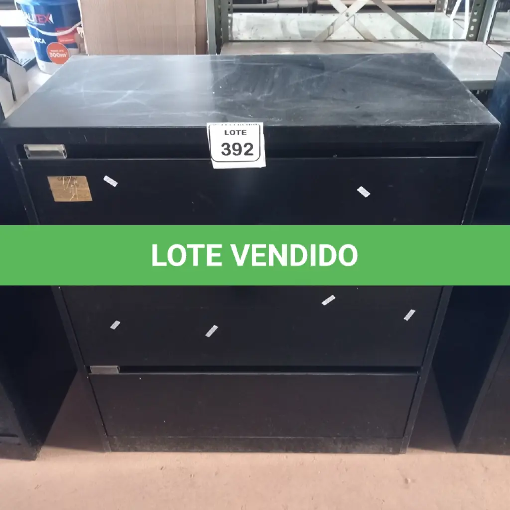 LOTE 392