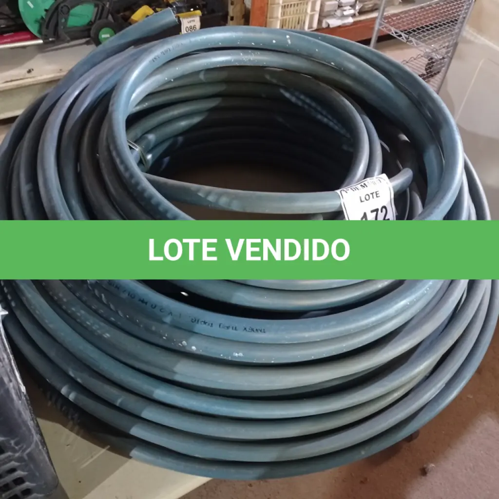 LOTE 172