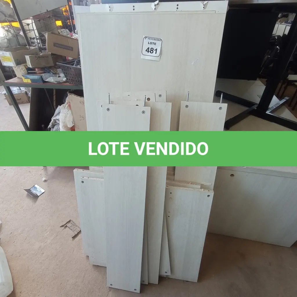 LOTE 481
