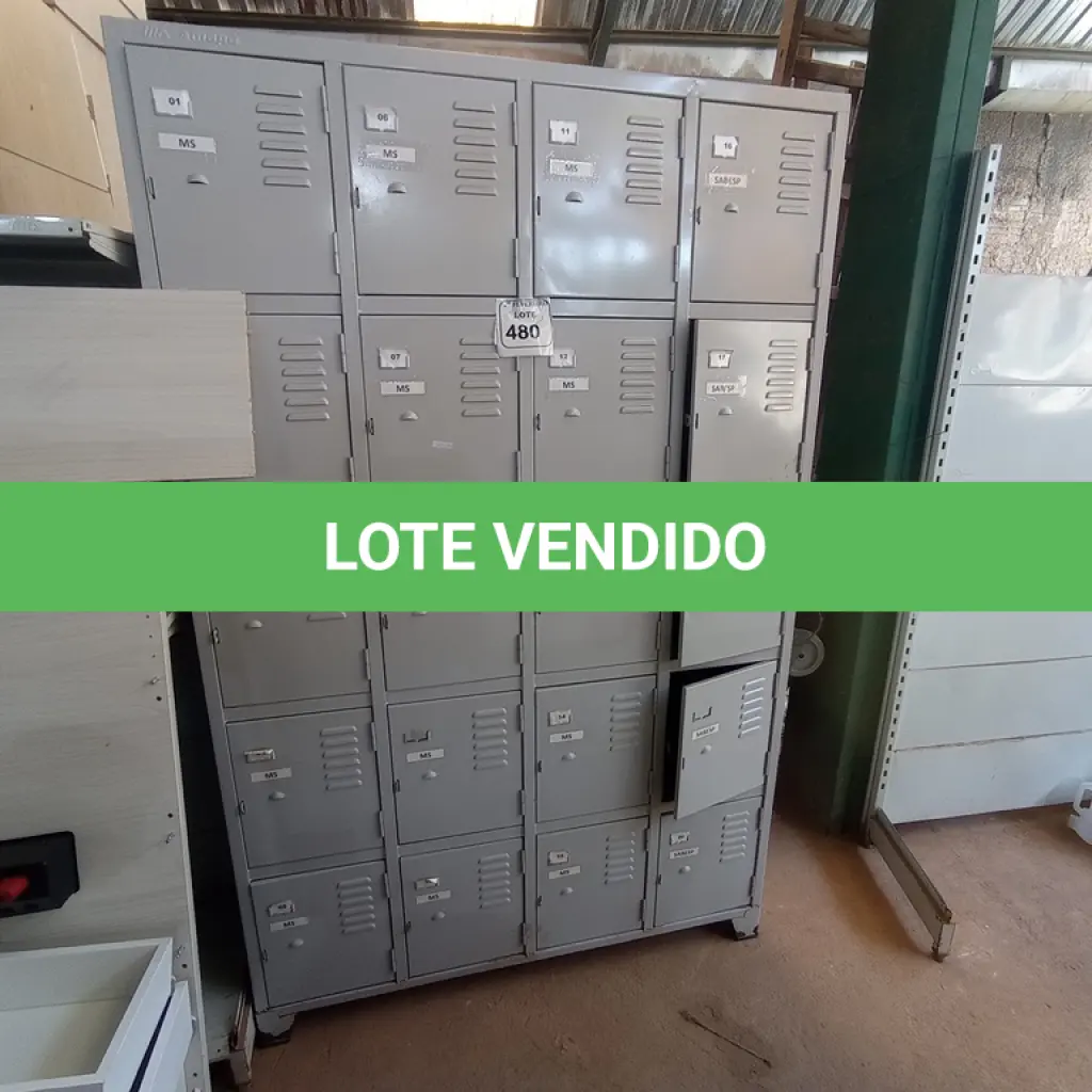 LOTE 480