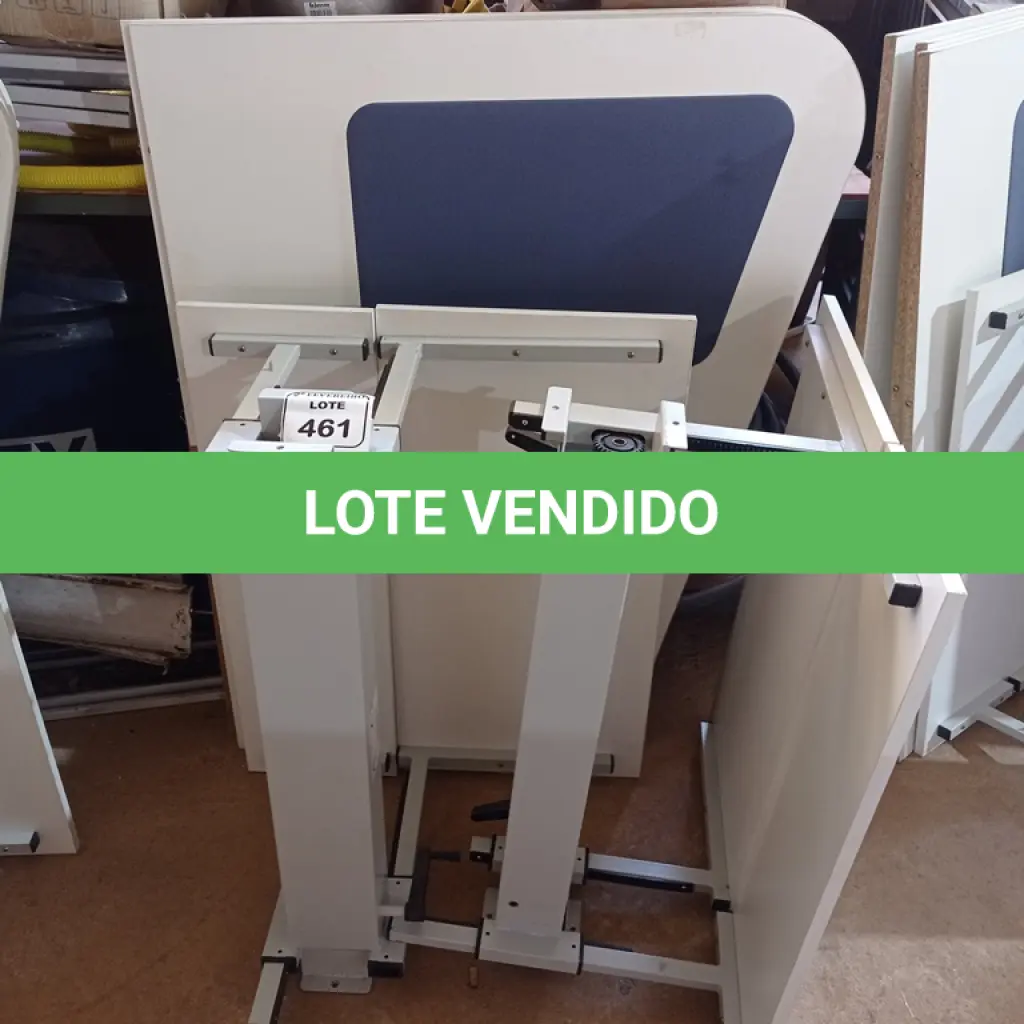 LOTE 461