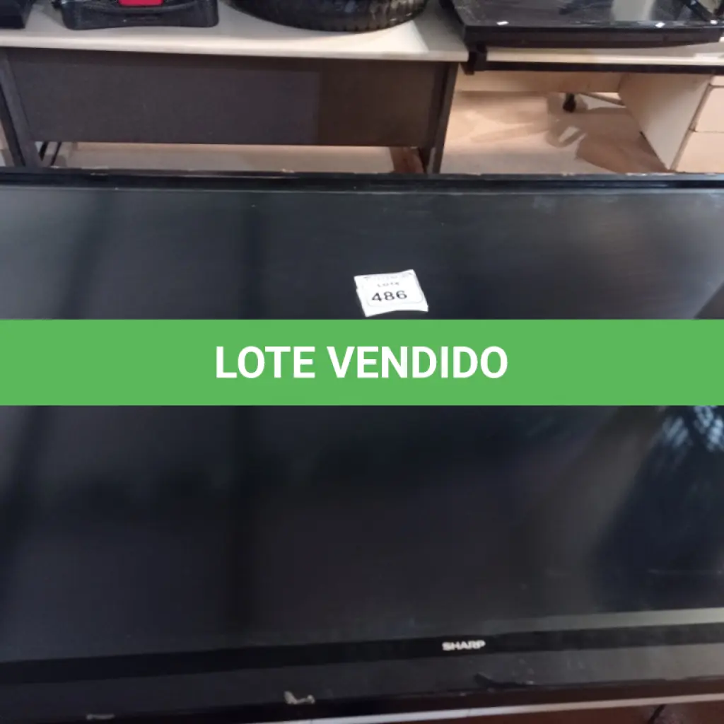 LOTE 486