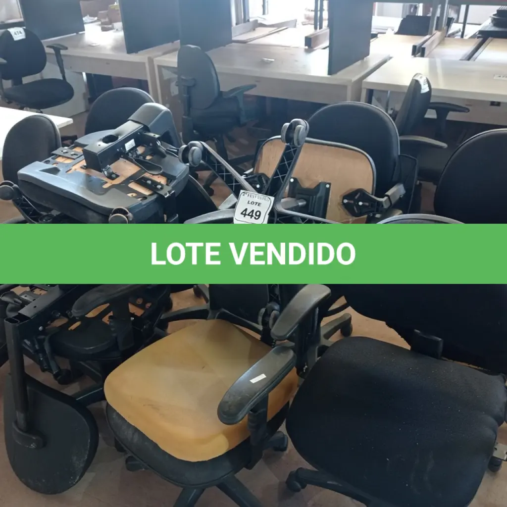 LOTE 449