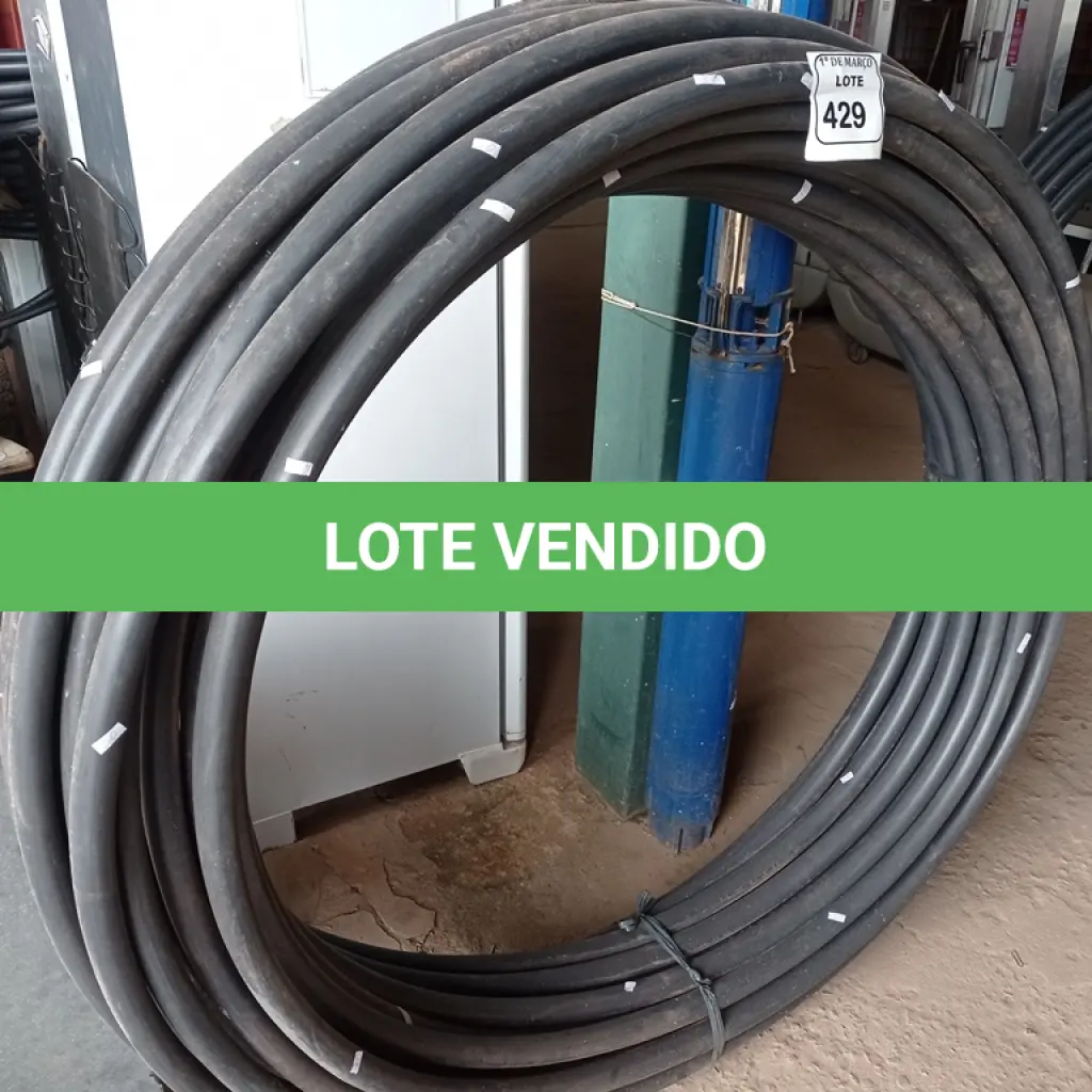 LOTE 429