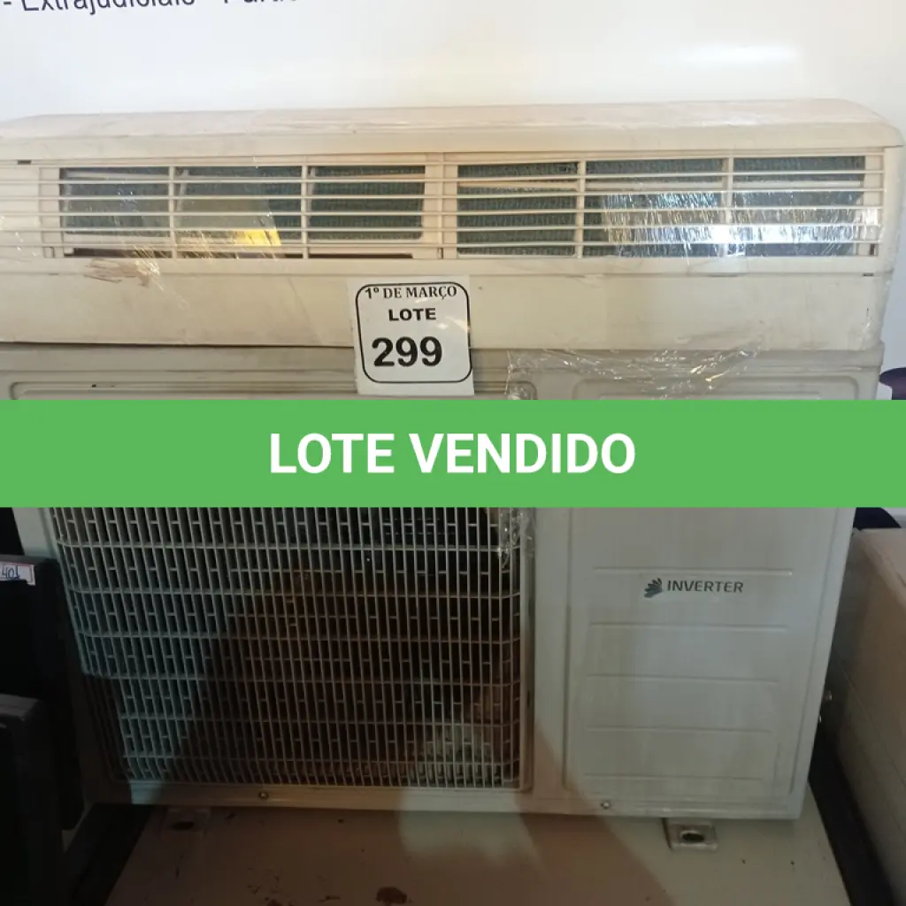 LOTE 299