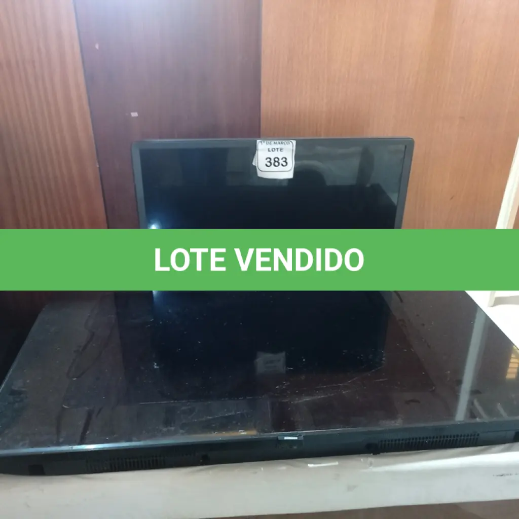 LOTE 383