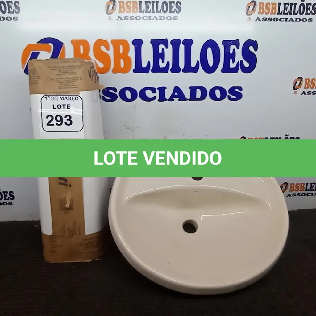 LOTE 293