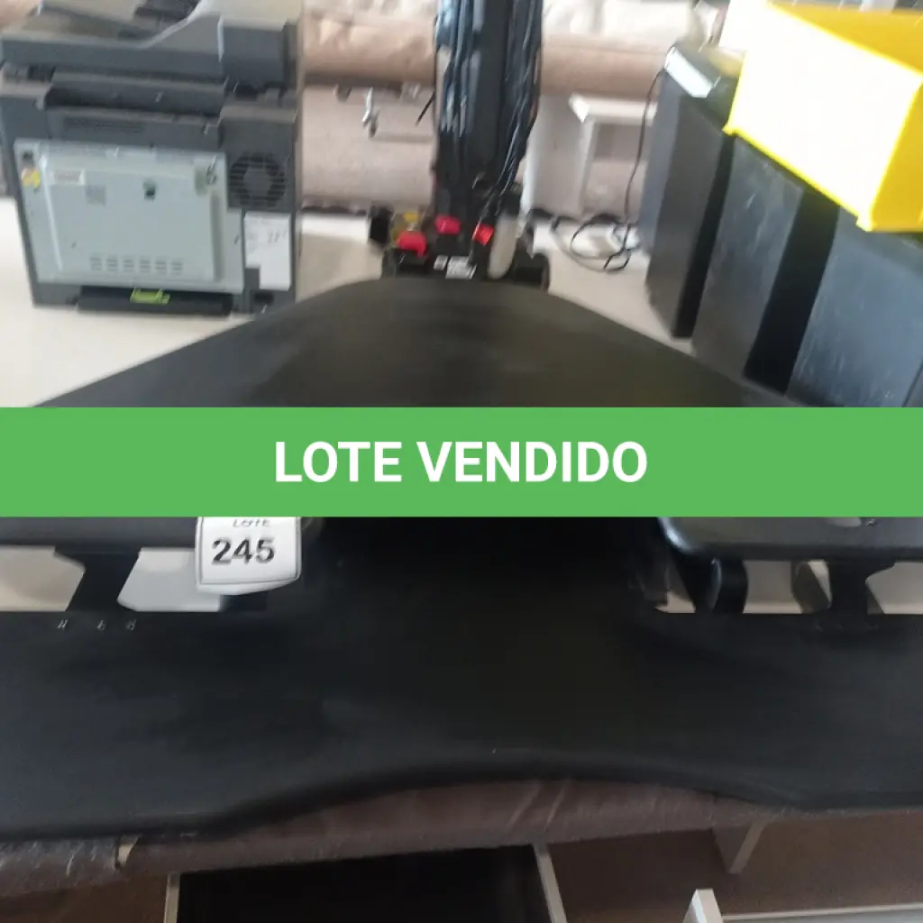 LOTE 245