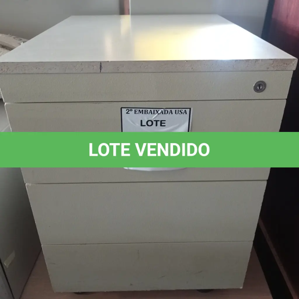 LOTE 256