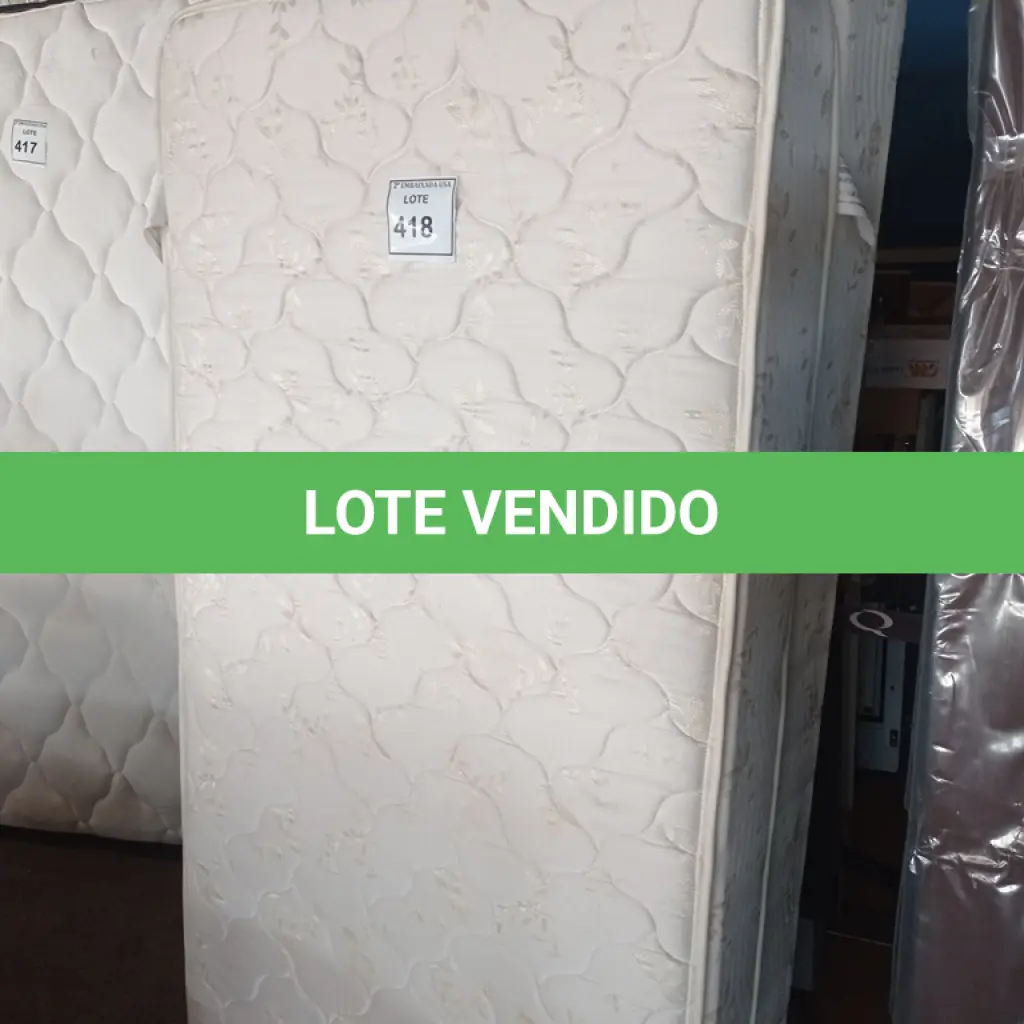 LOTE 418