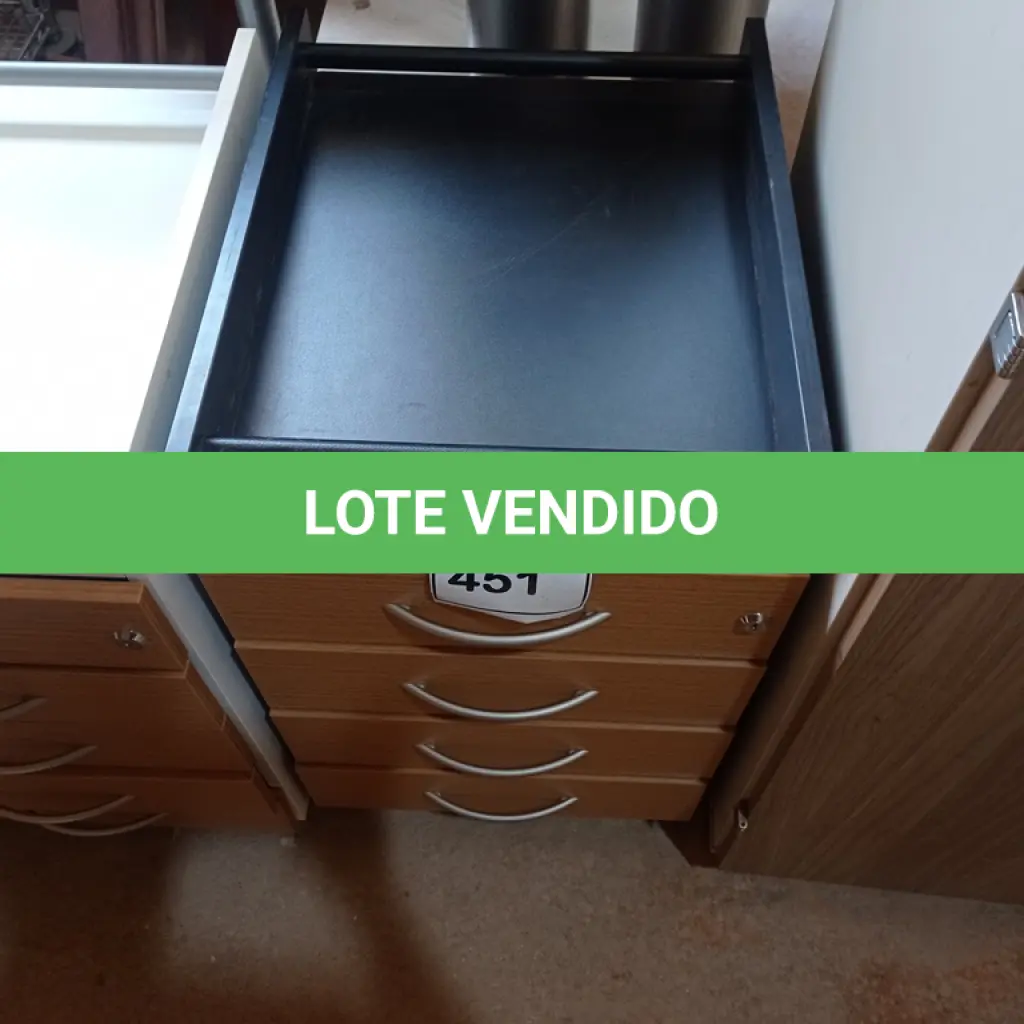 LOTE 451