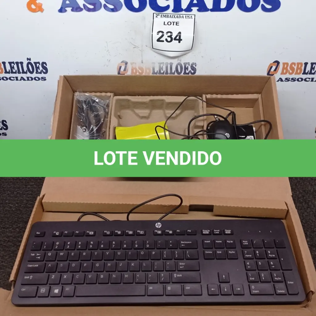 LOTE 234