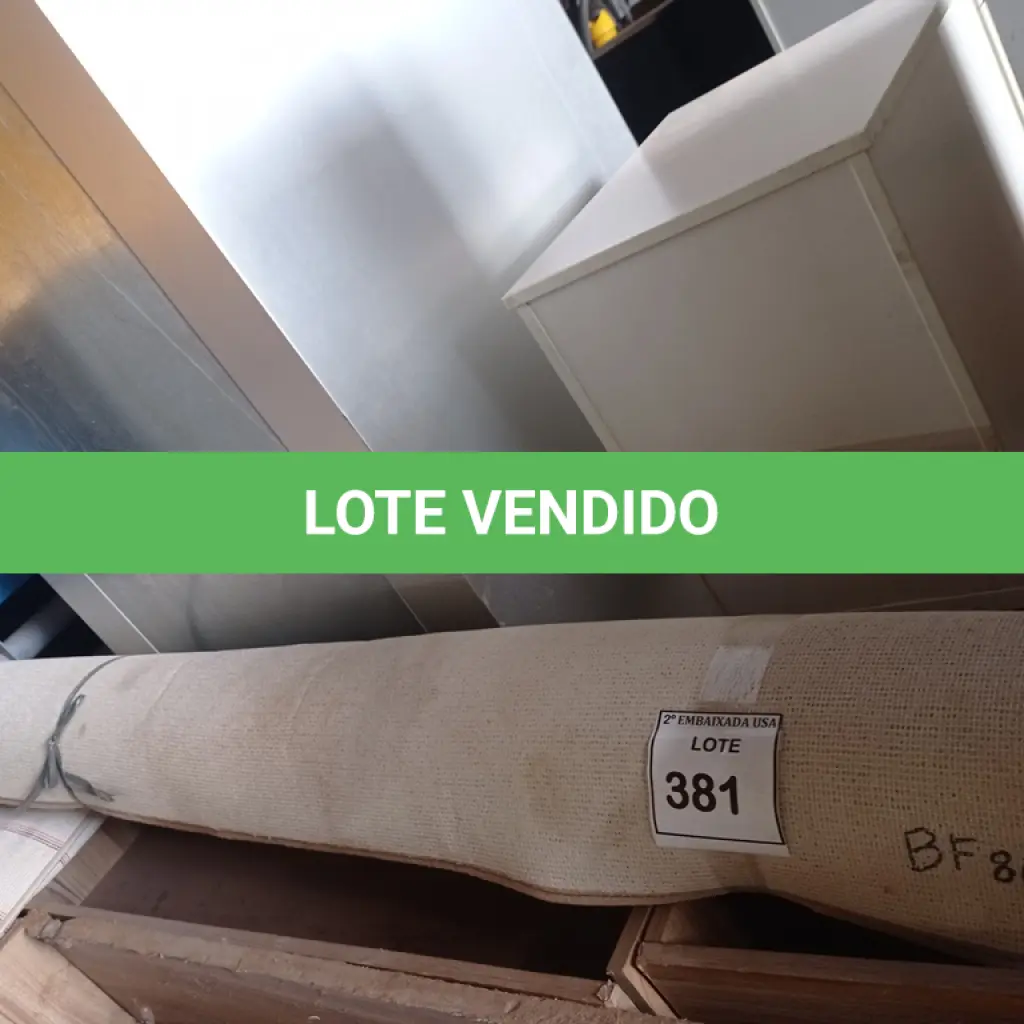 LOTE 381
