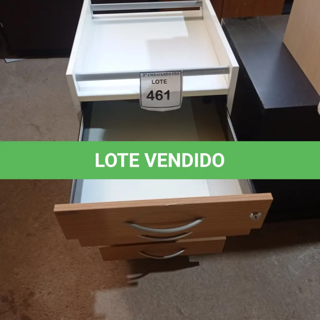 LOTE 461